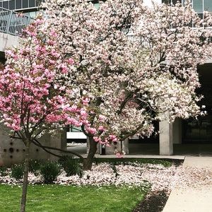 Meet your Posher, Kelli